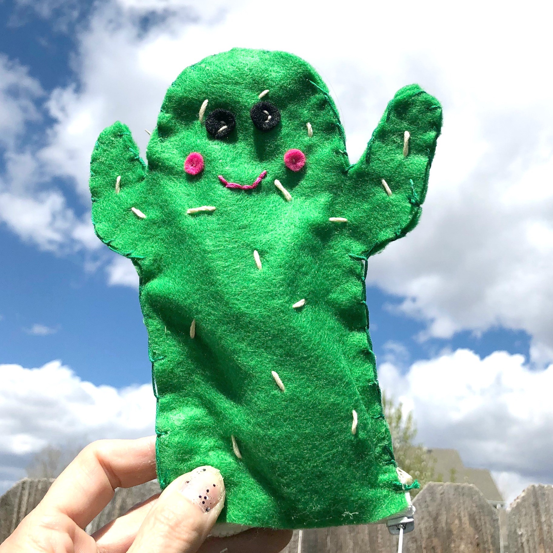 Diy Cactus Zipper Pouch Kunin Felt 5905